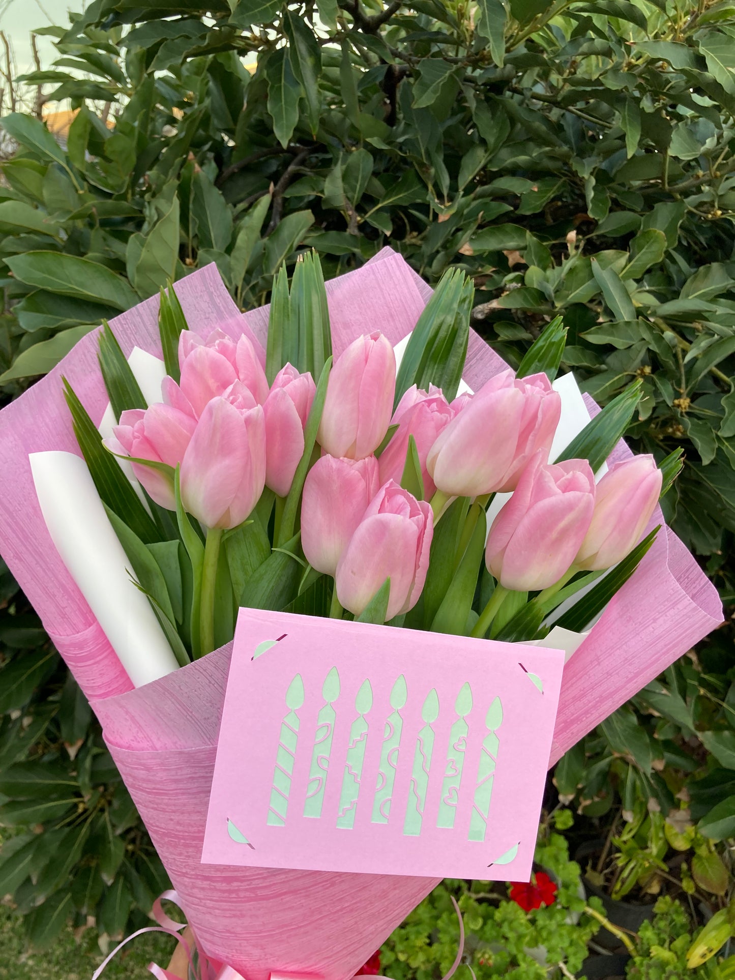 Good wishes - Tulipa