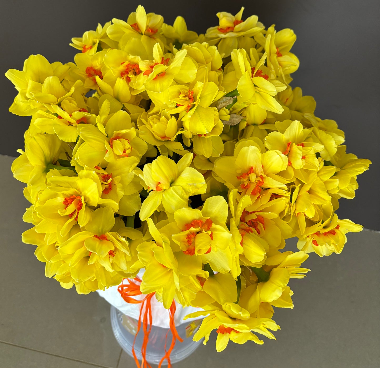 Daffodil bunch