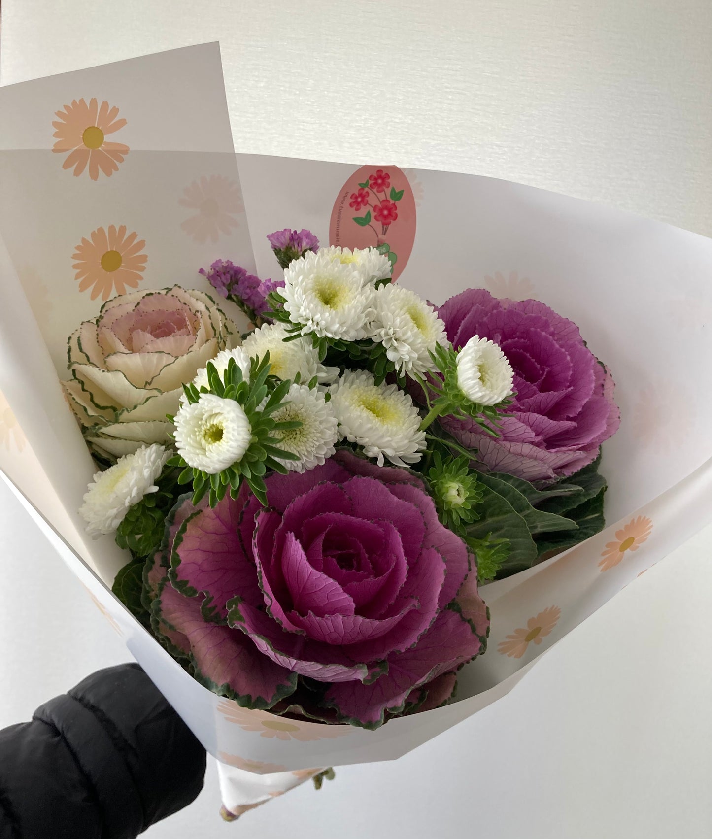 Beautiful brassica